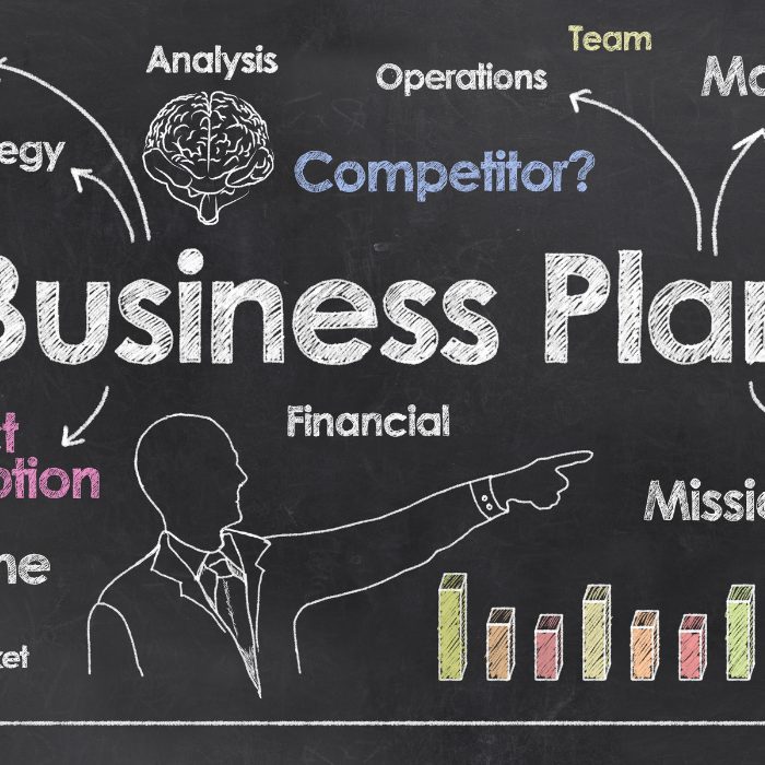 Come Realizzare Un Business Plan Vincente - Professional Academy